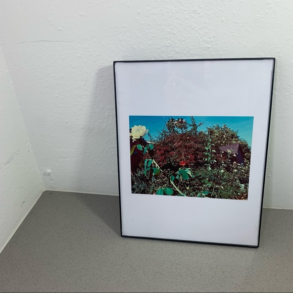 Lovely Star Original Photography Print - Picture 4 of 10